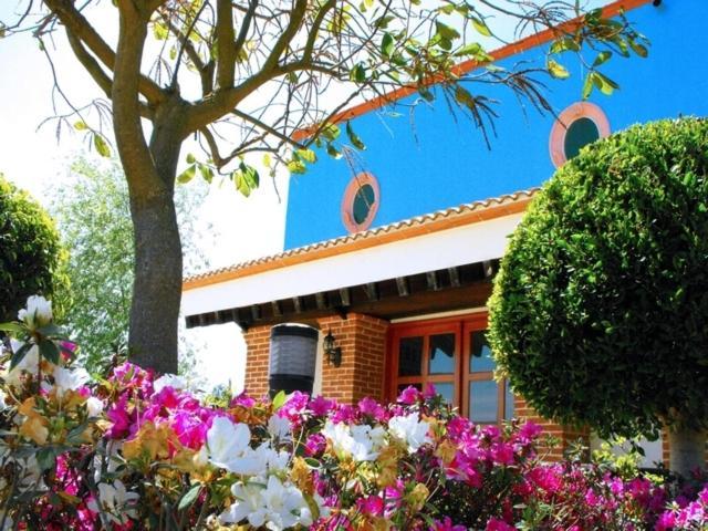 סן מיגל רגלה Hotel Real De La Montana מראה חיצוני תמונה